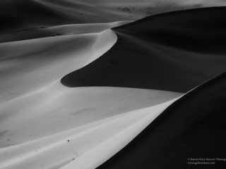 Dune Abstract duneabstract