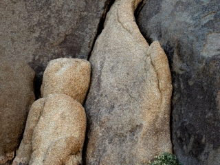 Seeking, Joshua Tree National Park Seeking, Joshua Tree National Park
