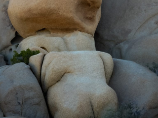 Swollen Ego?, Joshua Tree National Park Swollen Ego?, Joshua Tree National Park