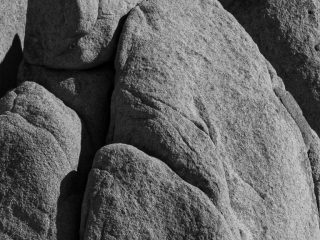 At the Surface, Joshua Tree National Park At the Surface, Joshua Tree National Park
