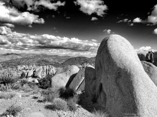 Formation, Joshua Tree National Park Formation, Joshua Tree National Park