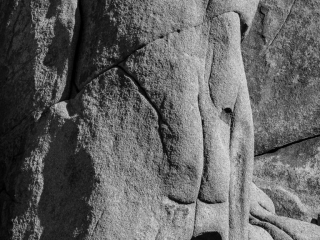 "Not Now", Joshua Tree National Park "Not Now", Joshua Tree National Park