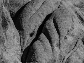 At Rest, Joshua Tree National Park At Rest, Joshua Tree National Park