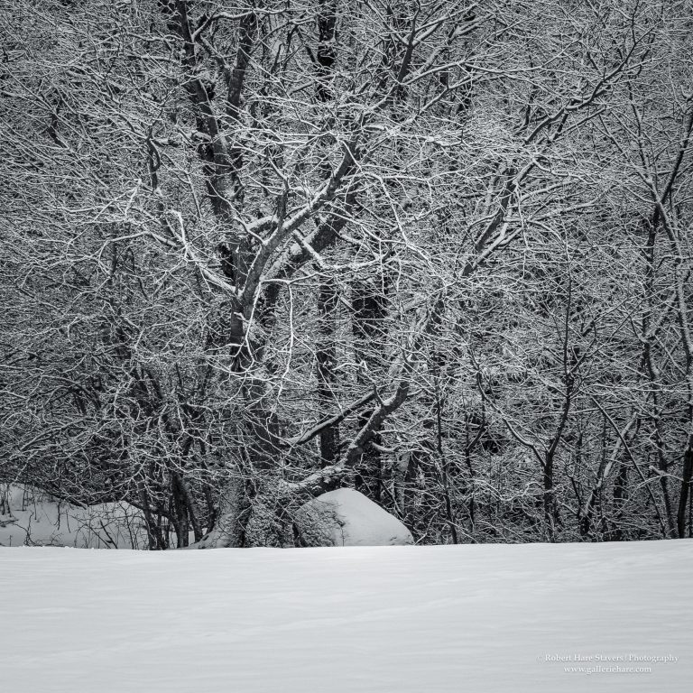 Land of Ice and Snow-10-2.jpg Land of Ice and Snow-10-2.jpg