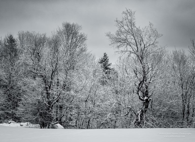 Land of Ice and Snow-11-2.jpg Land of Ice and Snow-11-2.jpg