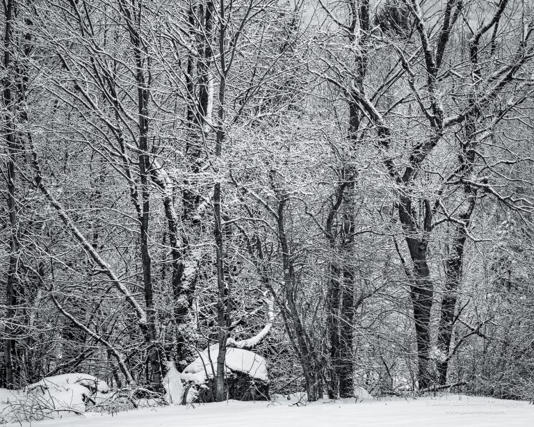 Land of Ice and Snow-12-2.jpg Land of Ice and Snow-12-2.jpg