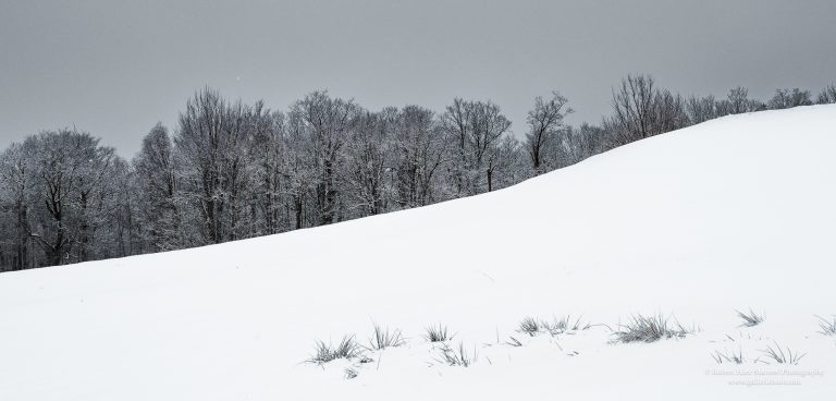 Land of Ice and Snow-14-2.jpg Land of Ice and Snow-14-2.jpg