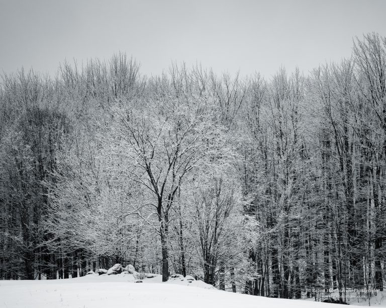 Land of Ice and Snow-15-2.jpg Land of Ice and Snow-15-2.jpg