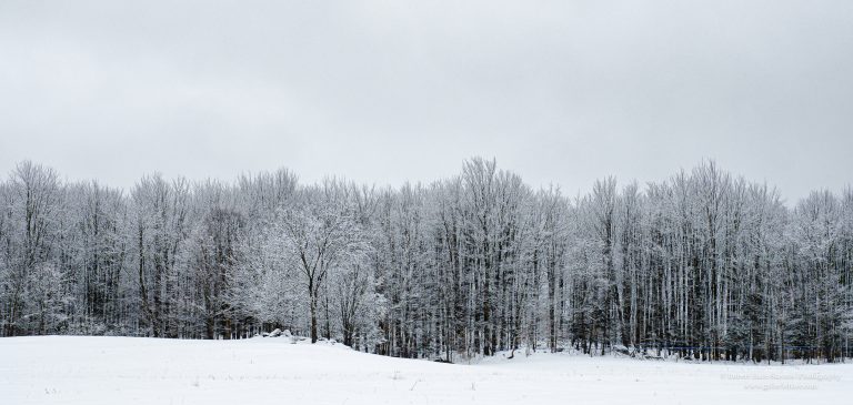 Land of Ice and Snow-16-2.jpg Land of Ice and Snow-16-2.jpg