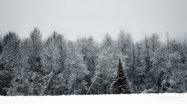 Land of Ice and Snow-17-2.jpg Land of Ice and Snow-17-2.jpg
