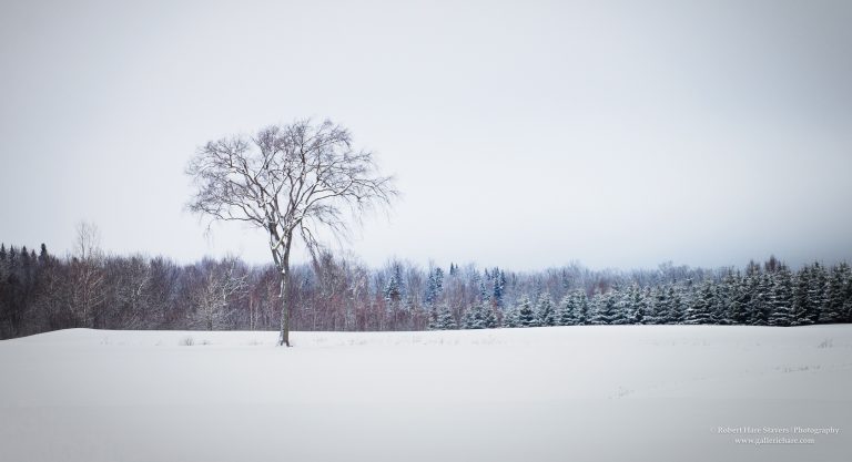 Land of Ice and Snow-19-2.jpg Land of Ice and Snow-19-2.jpg