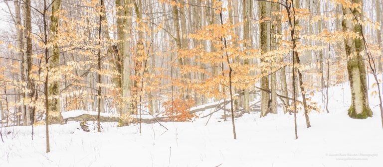 Land of Ice and Snow-2-2.jpg Land of Ice and Snow-2-2.jpg