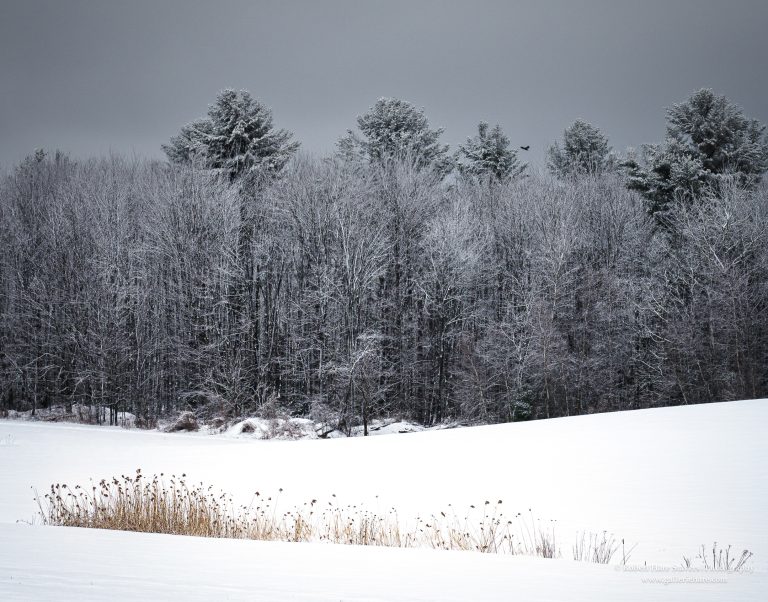 Land of Ice and Snow-7-2.jpg Land of Ice and Snow-7-2.jpg