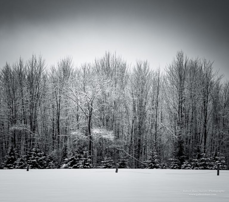 Land of Ice and Snow-8-2.jpg Land of Ice and Snow-8-2.jpg