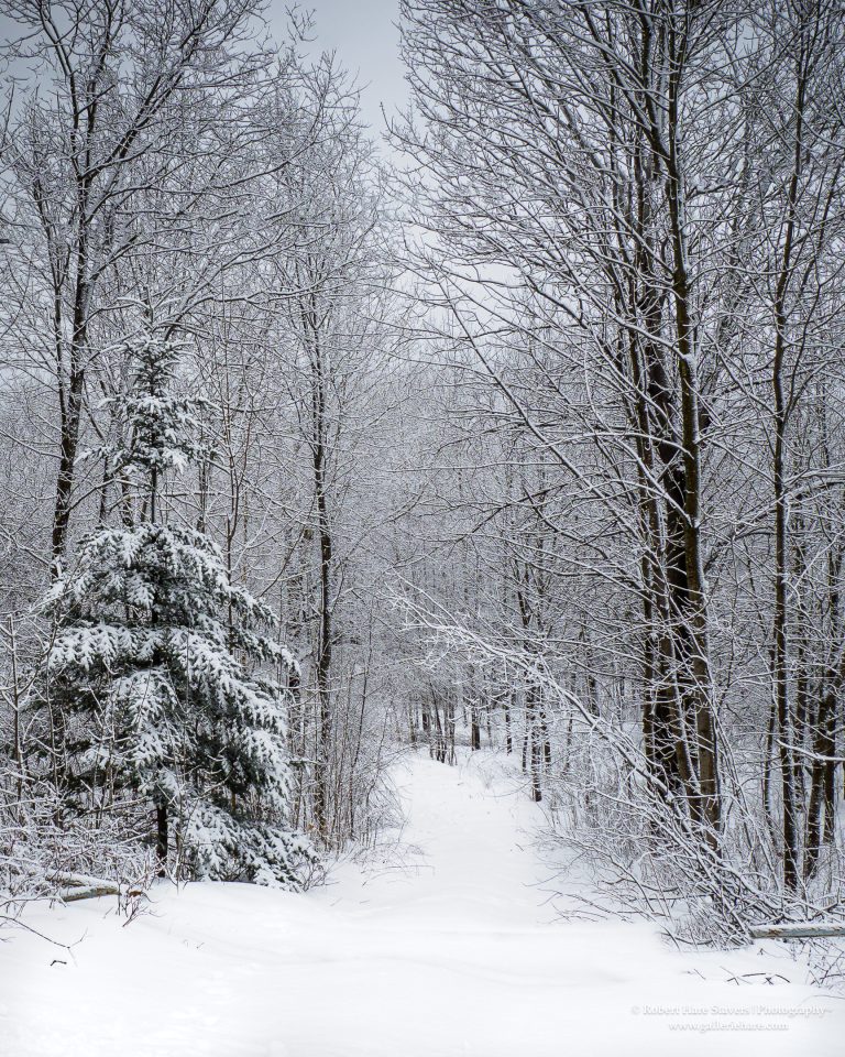 Land of Ice and Snow-9-2.jpg Land of Ice and Snow-9-2.jpg