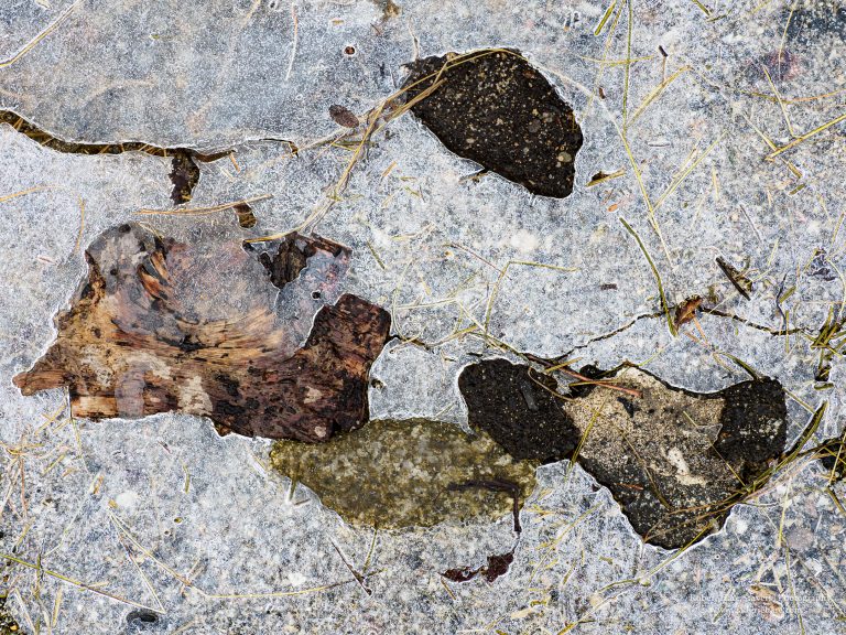 Winter at the Waters Edge-17-2.jpg Winter at the Waters Edge-17-2.jpg