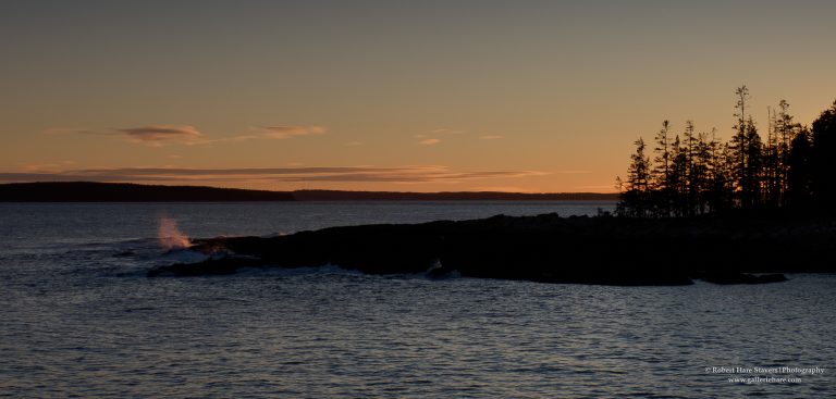 Winter at the Waters Edge-20-2.jpg Winter at the Waters Edge-20-2.jpg