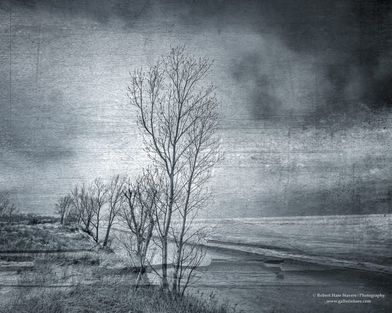 Winter at the Waters Edge-3-2.jpg Winter at the Waters Edge-3-2.jpg