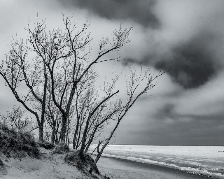 Winter at the Waters Edge-4-2.jpg Winter at the Waters Edge-4-2.jpg