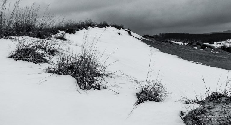 Winter at the Waters Edge-6-2.jpg Winter at the Waters Edge-6-2.jpg