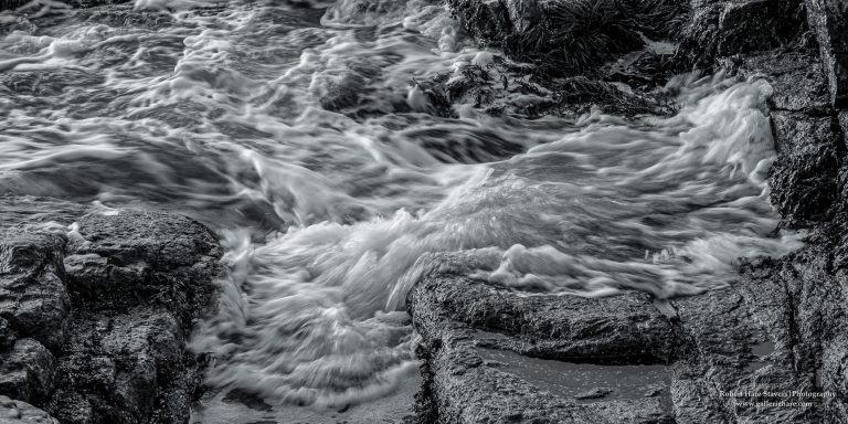 Winter at the Waters Edge-7-2.jpg Winter at the Waters Edge-7-2.jpg
