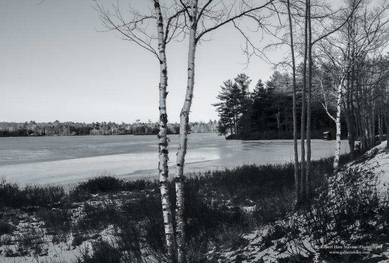Winter at the Waters Edge-9-2.jpg Winter at the Waters Edge-9-2.jpg