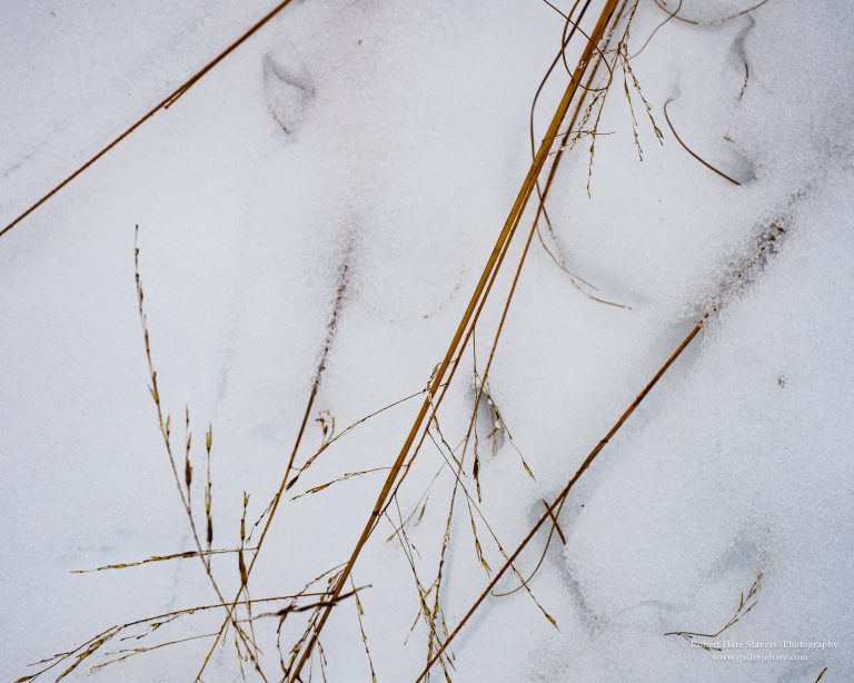 Land of Ice and Snow-3-2.jpg Land of Ice and Snow-3-2.jpg