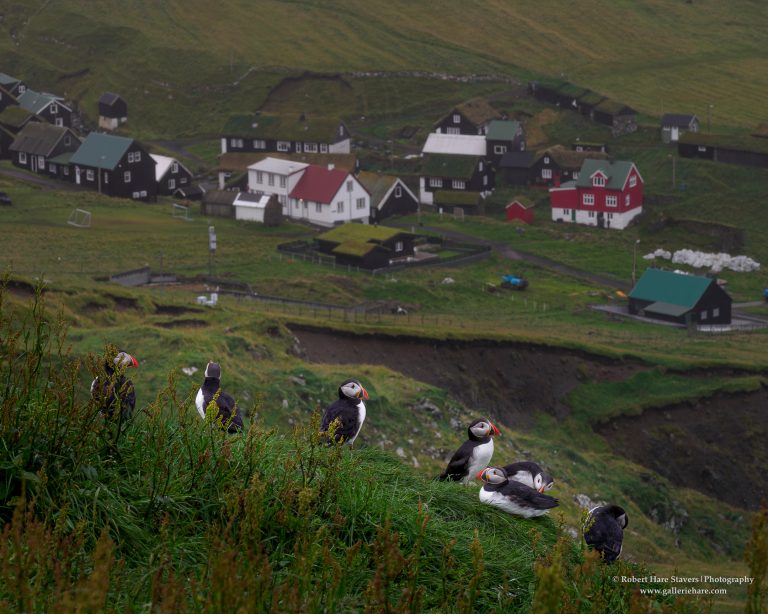 Faroe Islands-1.jpg Faroe Islands-1.jpg