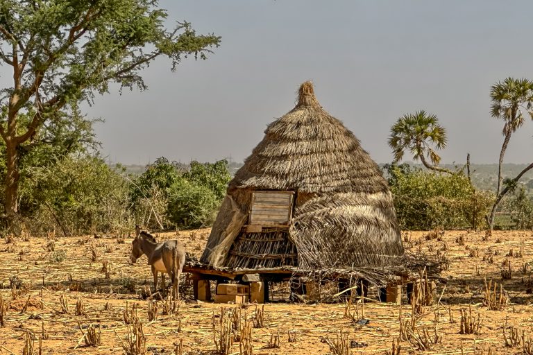Niger