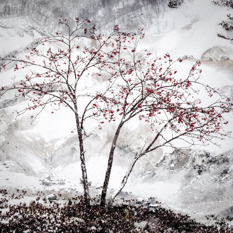 Hokkaido Untamed Wilderness-19