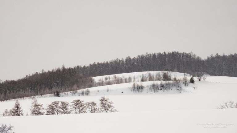Hokkaido Untamed Wilderness-22