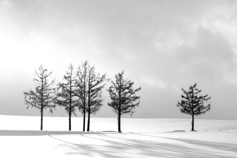 Hokkaido Untamed Wilderness-23