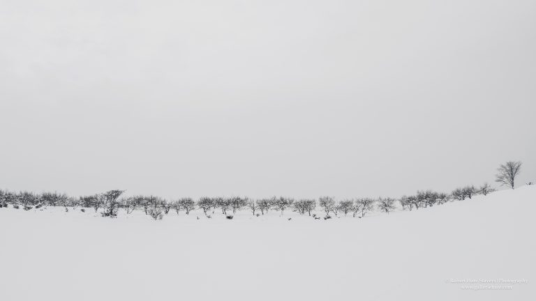 Hokkaido Untamed Wilderness-24