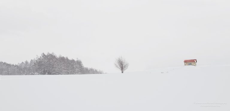 Hokkaido Untamed Wilderness-25