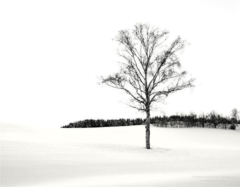 Hokkaido Untamed Wilderness-26