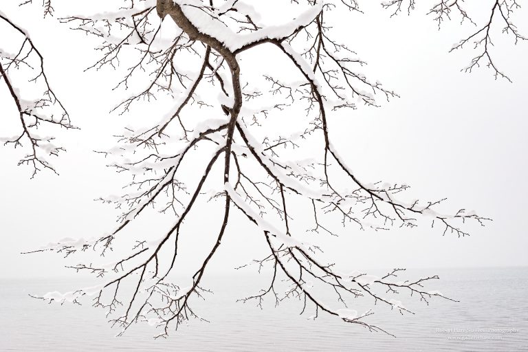Hokkaido Untamed Wilderness-27