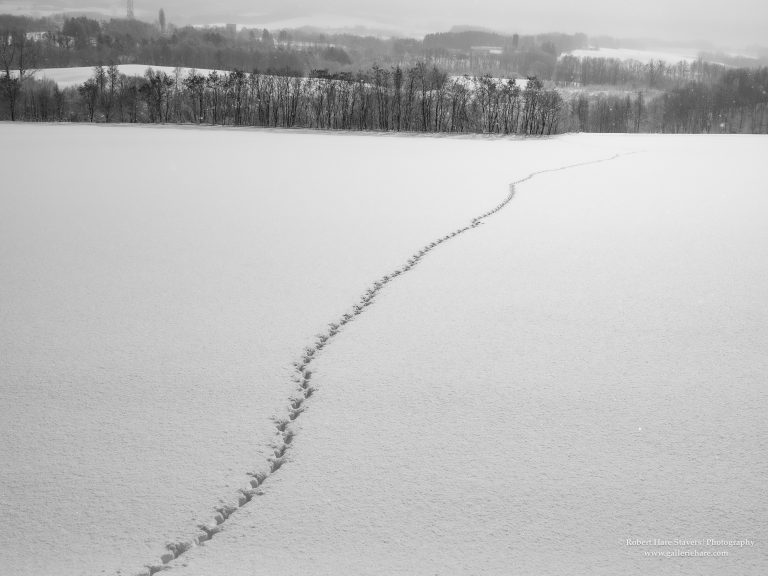 Hokkaido Untamed Wilderness-28
