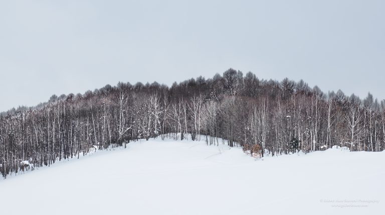 Hokkaido Untamed Wilderness-30