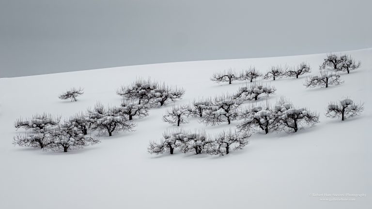 Hokkaido Untamed Wilderness-31