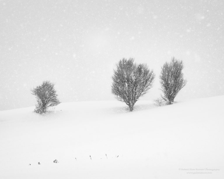 Hokkaido Untamed Wilderness-32