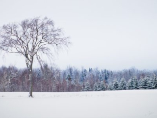 Solitude-12