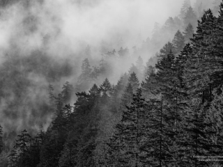 Solitude-13