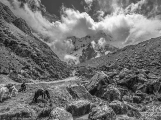 Solitude-15