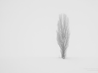 Solitude-22