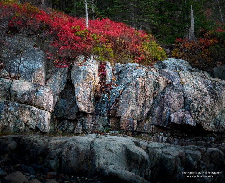 202510 Acadia National Park-11.jpg 202510 Acadia National Park-11.jpg