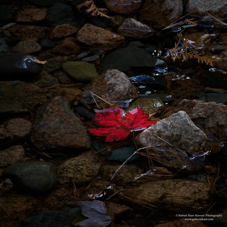 202510 Acadia National Park-18.jpg 202510 Acadia National Park-18.jpg