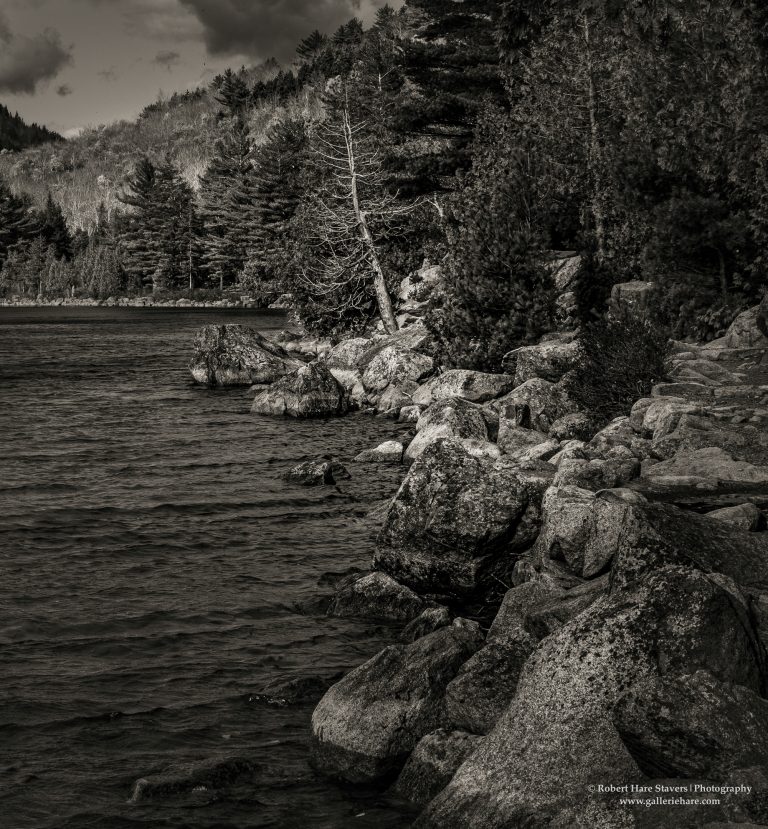 202510 Acadia National Park-22.jpg 202510 Acadia National Park-22.jpg