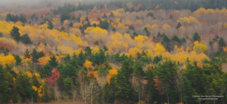 202510 Acadia National Park-7.jpg 202510 Acadia National Park-7.jpg