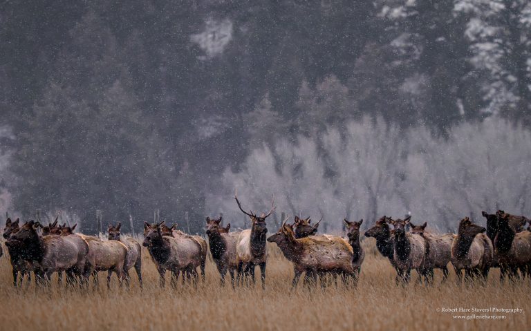 202510 Grand Teton National Park-18.jpg 202510 Grand Teton National Park-18.jpg