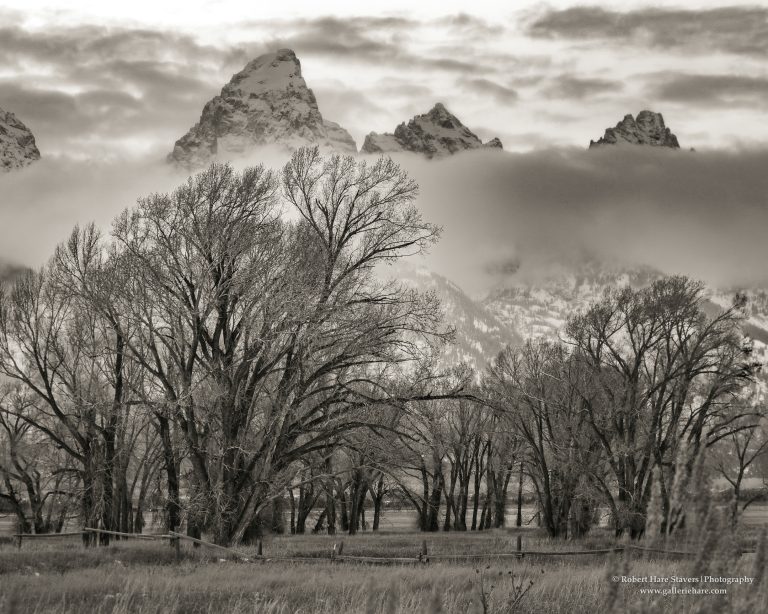 202510 Grand Teton National Park-24.jpg 202510 Grand Teton National Park-24.jpg